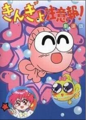 娛樂金魚眼DVD,金魚註意報!DVD,金魚豆豆DVD,易碟藍光專賣店-www.rutenmall.com