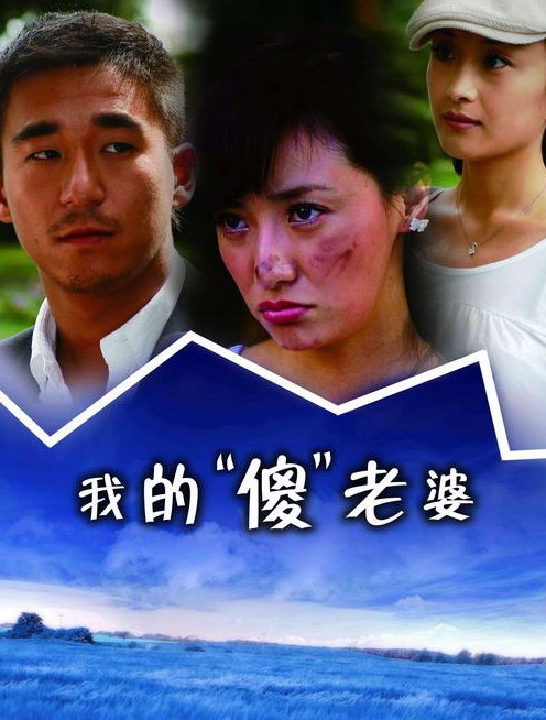 我的傻老婆DVD,我的傻瓜老婆DVD,我的老婆是傻瓜DVD,易碟藍光專賣店-www.rutenmall.com