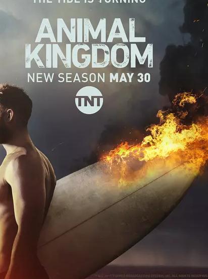 野獸家族第二季DVD,動物王國DVD,Animal KingdomDVD,易碟藍光專賣店-www.rutenmall.com